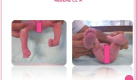                    1 pdf page