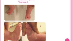                    1 pdf page