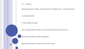                    2 pdf page