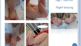                    4 pdf page